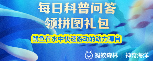 鱿鱼在水中快速游动的动力源自