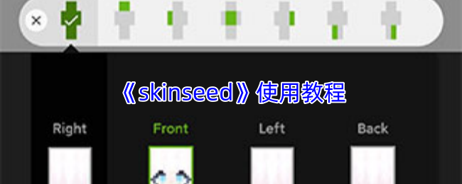《skinseed》使用教程