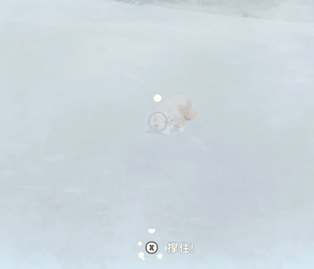 《我的小柯基》达成类成就攻略分享