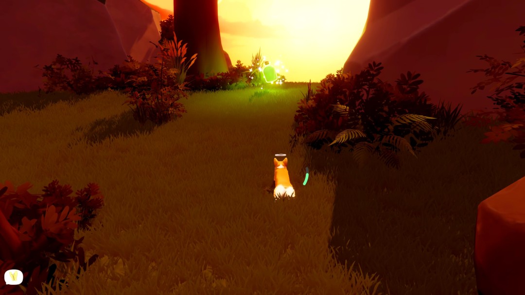 《我的小柯基》收集类成就攻略分享