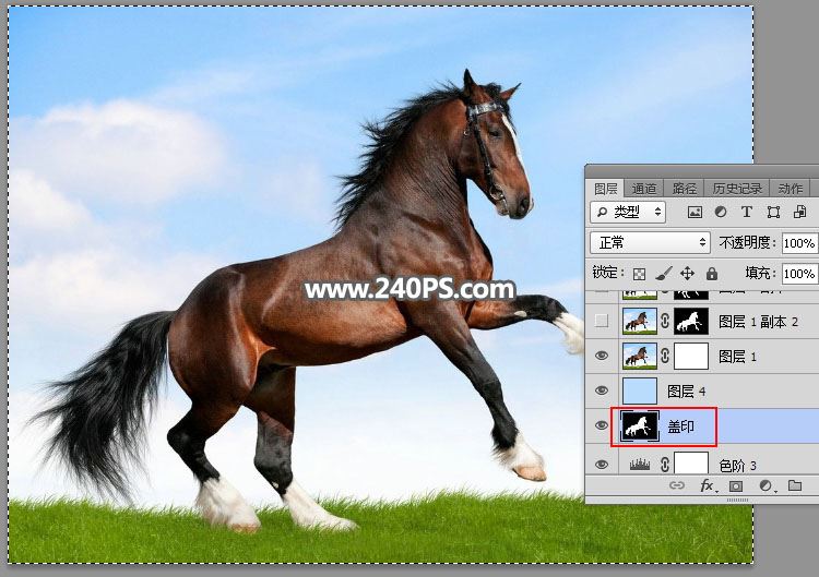 ps完美抠图快速抠出在草原上飞奔的骏马图片教程