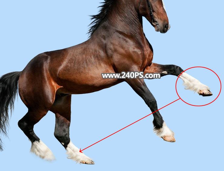 ps完美抠图快速抠出在草原上飞奔的骏马图片教程
