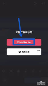 inshot如何去除水印