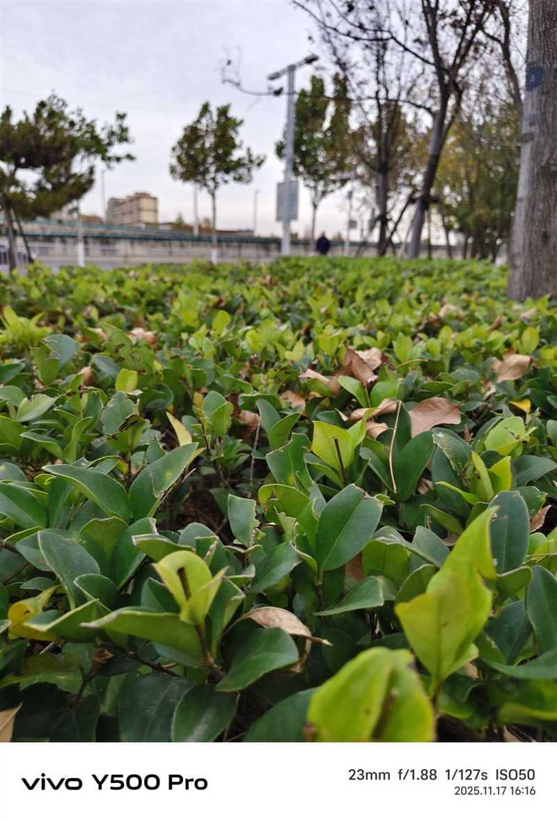 2亿像素的国民小旗舰！vivo Y500 Pro评测：超耐用超给力