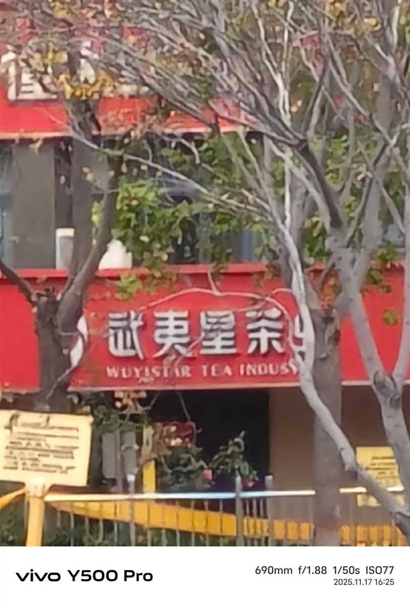 2亿像素的国民小旗舰！vivo Y500 Pro评测：超耐用超给力