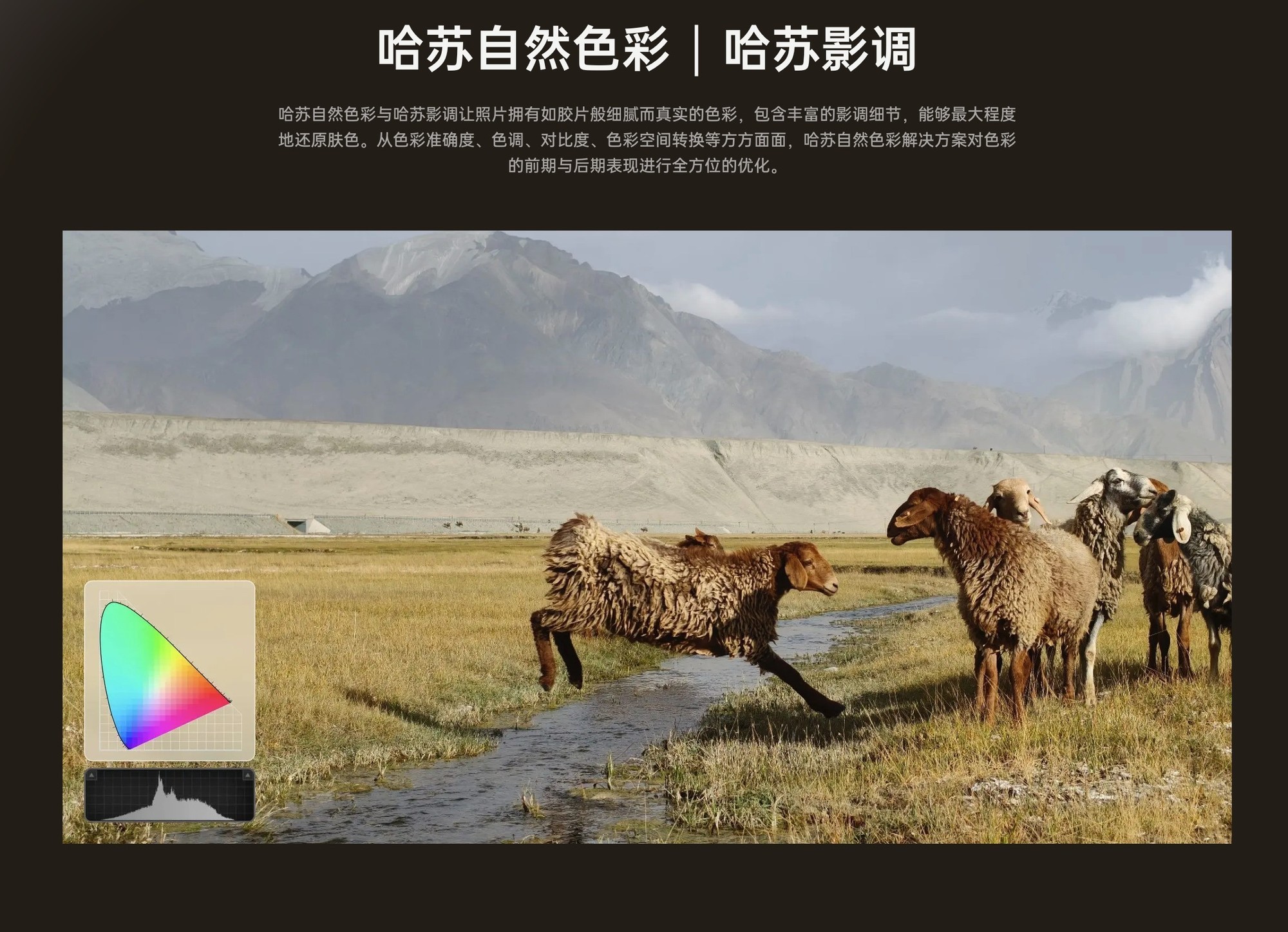 米/O/v/耀,旗舰标准版到底怎么选?