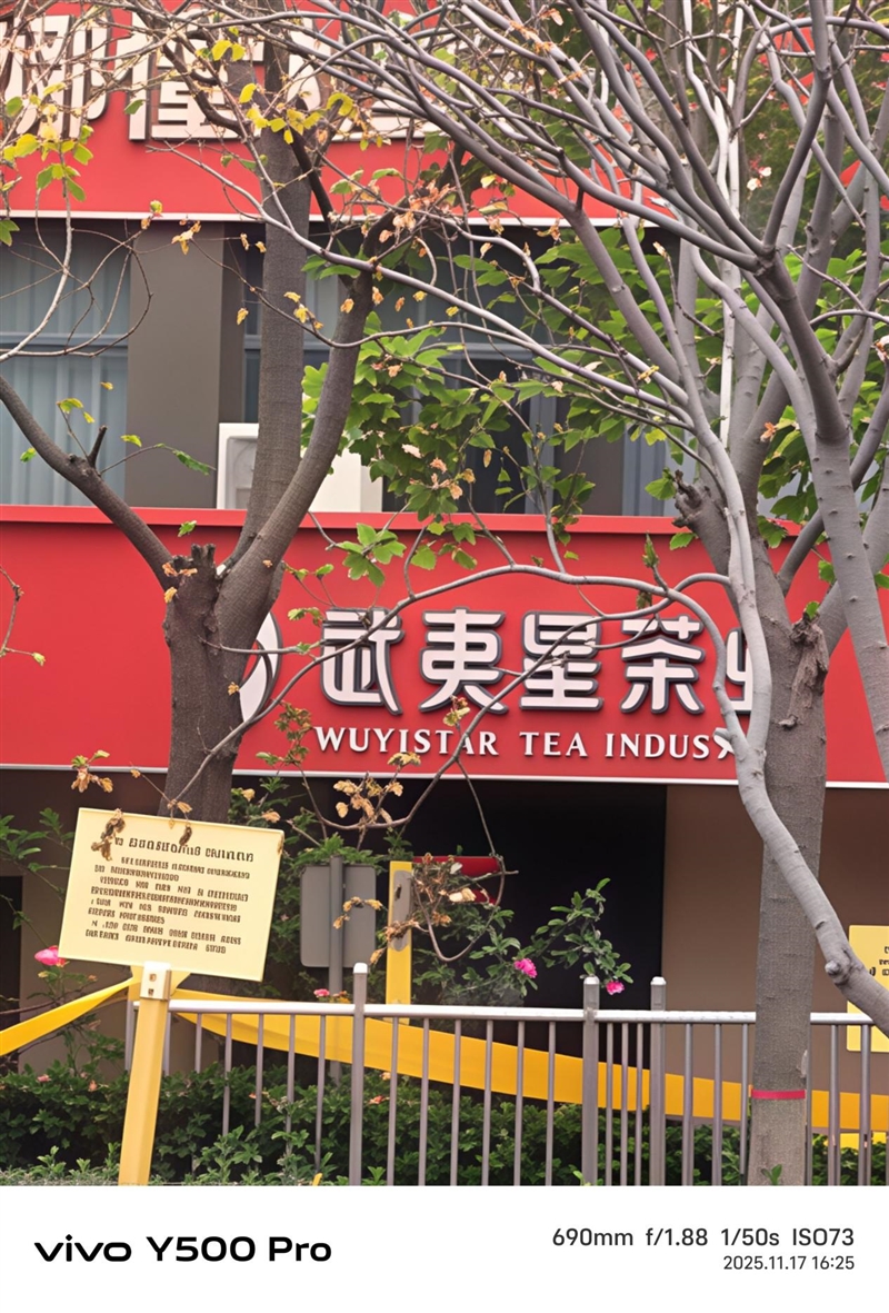 2亿像素的国民小旗舰！vivo Y500 Pro评测：超耐用超给力