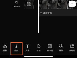 剪映如何给视频录音