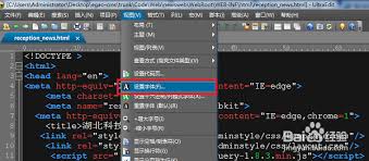 Ultraedit怎么设置字体大小