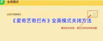 爱奇艺奇巴布如何设置全英模式