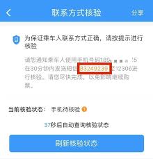 如何查询别人在12306给我买的票