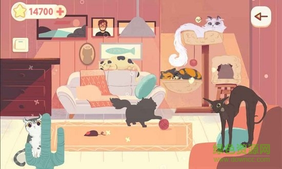 左瞄右喵手机版