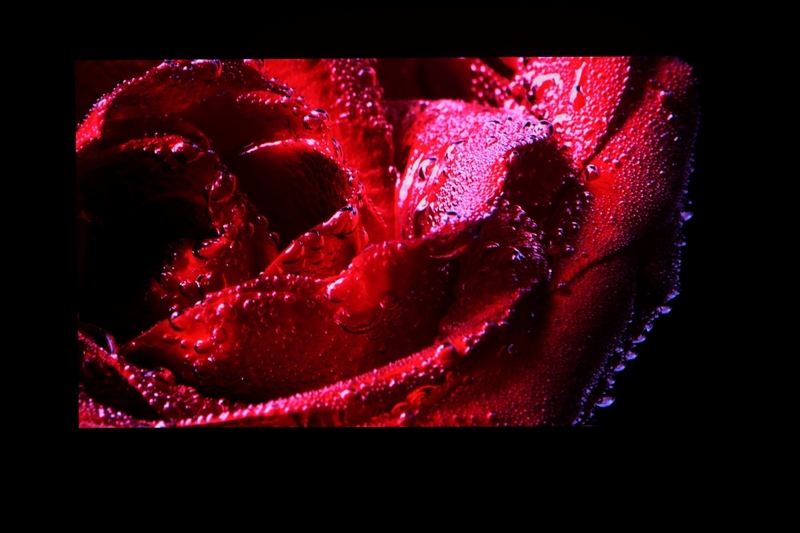 卷完光源卷镜头！当贝X7 Max投影仪评测：纯三色激光已普及 镜头移轴新赛道出现！