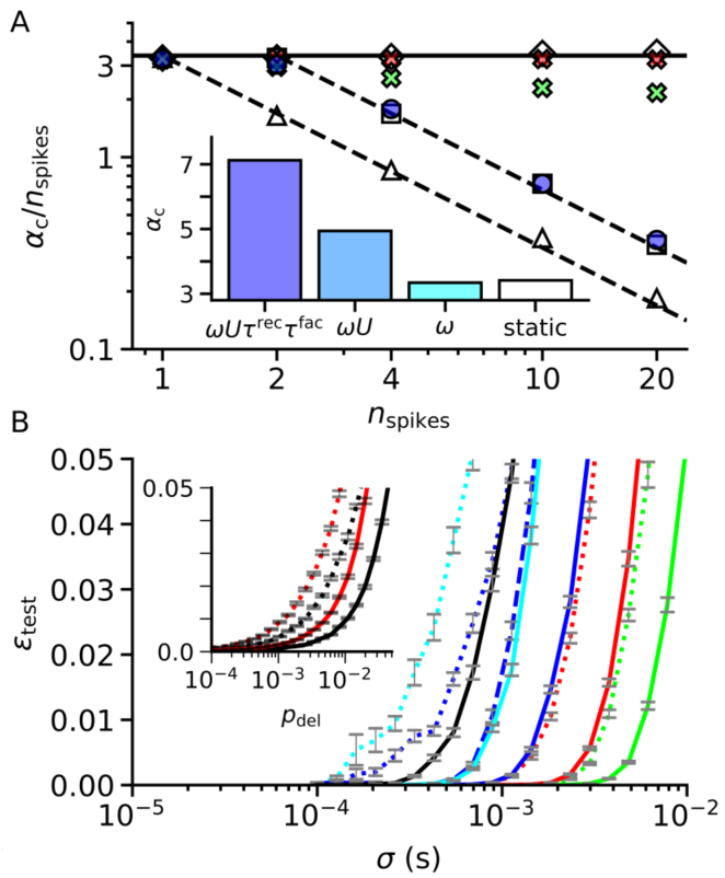 天津大学揭示大脑突触处理时空信息核心机制，为下一代 AI 提供理论支撑