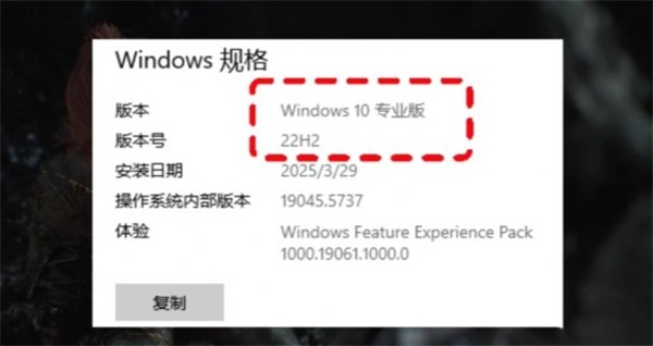光与影33号远征队黑屏解决方法分享