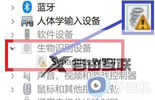 win11找不到windows hello指纹的指纹识别器怎么解决