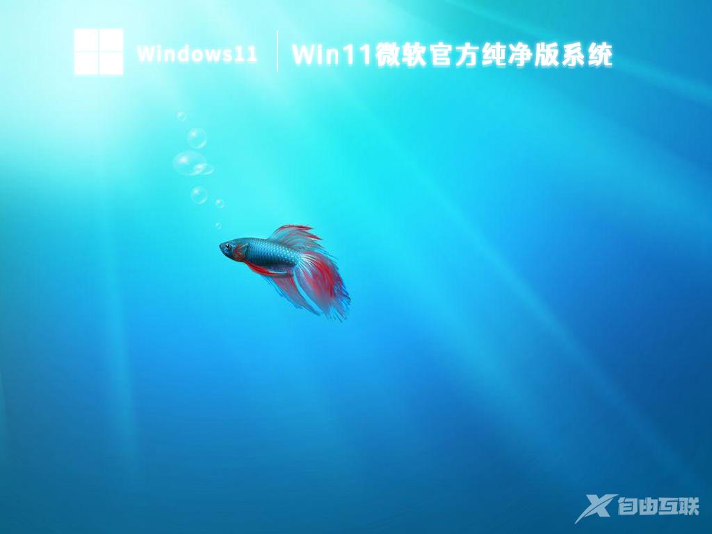 笔记本专用Win11系统下载（宏碁、惠普、华硕、戴尔、联想）