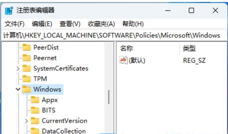 win11怎么彻底关闭Windows Copilot？win11完全关闭Windows Copilot方法介绍