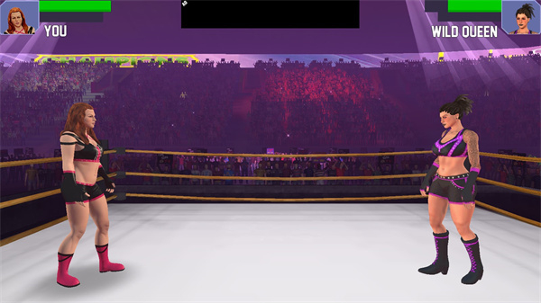 美女摔跤模拟器内置菜单版