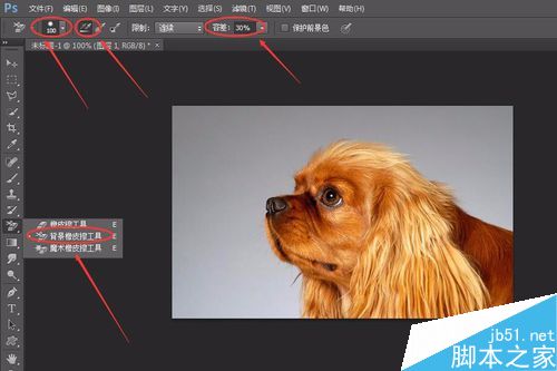 PS6如何完美的抠动物毛发