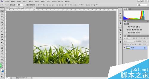 如何用PS色彩范围抠图