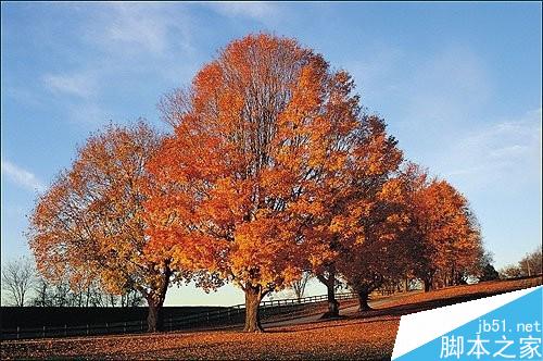 PS 通道扣图实例