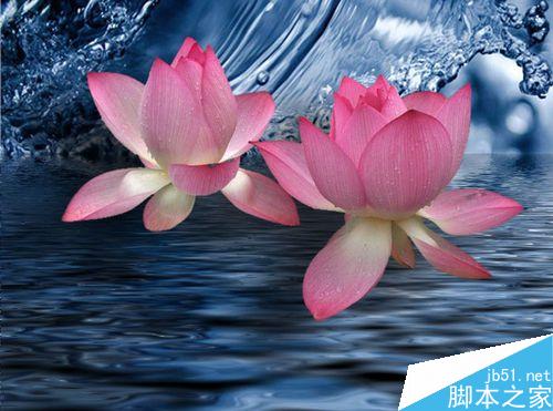 PS利用通道抠图——抠出荷花