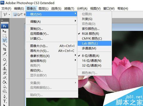 PS利用通道抠图——抠出荷花