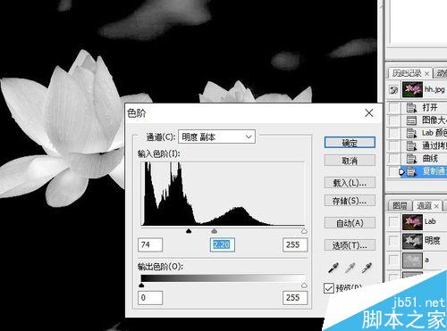 PS利用通道抠图——抠出荷花