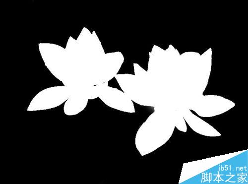 PS利用通道抠图——抠出荷花