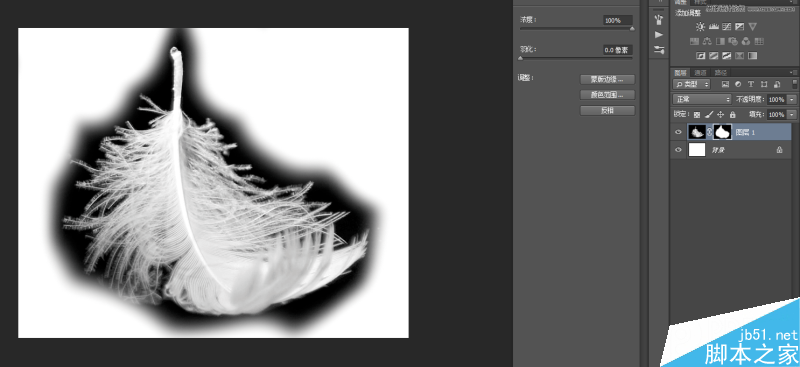 Photoshop巧用色阶快速的抠出羽毛效果图,PS教程,思缘教程网