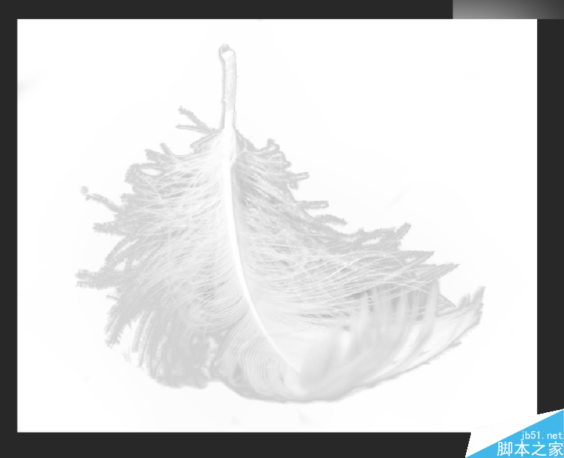 Photoshop巧用色阶快速的抠出羽毛效果图,PS教程,思缘教程网
