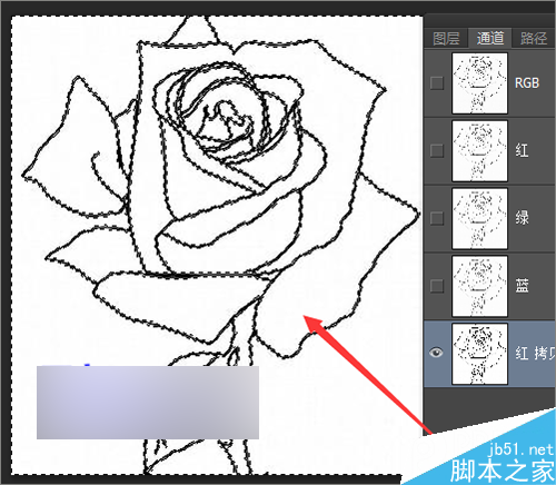 ps如何把简笔画中的线条快速的抠出?