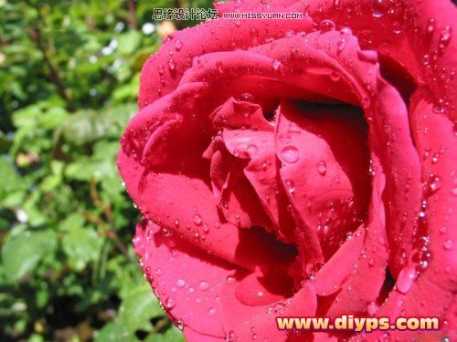 Photoshop抠图教程:插件Mask pro 4.11抠图使用介绍(图文)