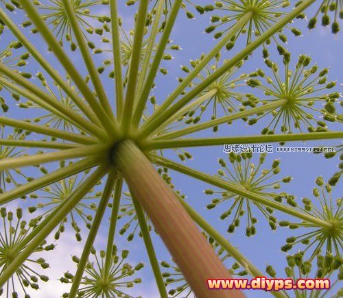 Photoshop抠图教程:插件Mask pro 4.11抠图使用介绍(图文)