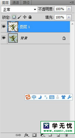 ps利用通道抠图抠花卉的详细步骤