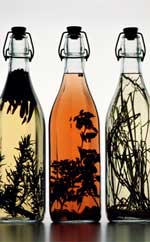 ps怎么去除背景 PS图像去除背景抠图示例