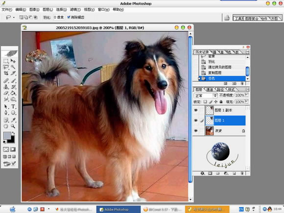 Photoshop精细抠图详解:抠出美丽的狗狗_本站jb51.net网络整理