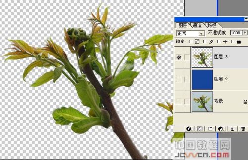 Photoshop去边命令巧除抠图杂边_本站jb51.net网络整理