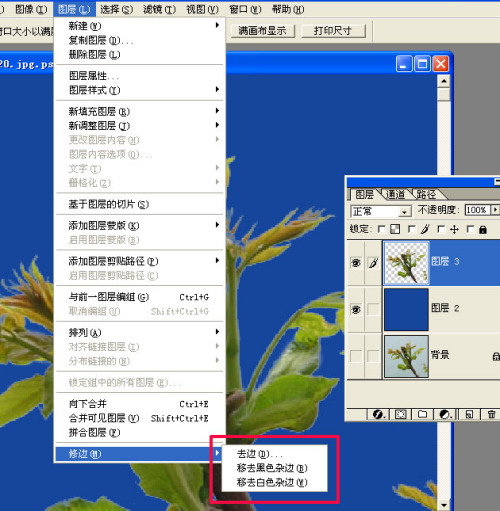 Photoshop去边命令巧除抠图杂边_本站jb51.net网络整理
