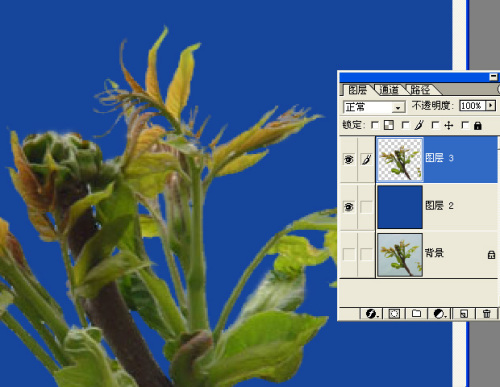 Photoshop去边命令巧除抠图杂边_本站jb51.net网络整理