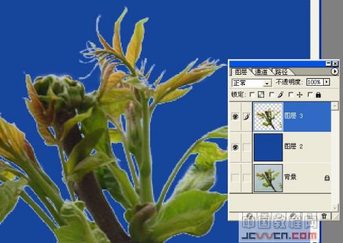 Photoshop去边命令巧除抠图杂边_本站jb51.net网络整理