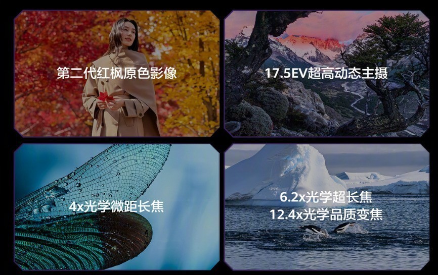 华为Mate 80 RS 非凡大师上手:第一眼沉稳,越摸越有味道