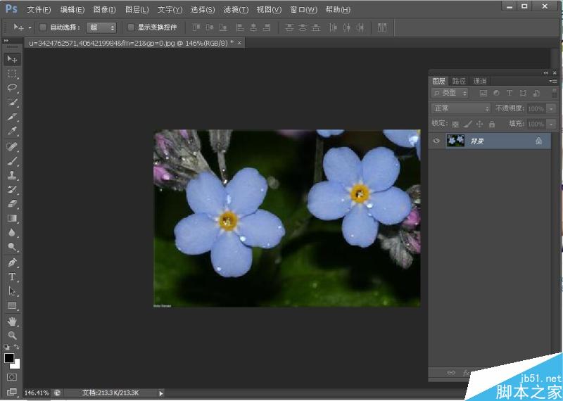 新手入门:ps快速蒙版抠图方法介绍