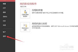 Access2013怎么更改字体