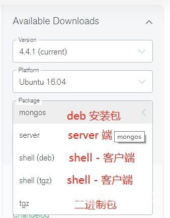 .Net Core中使用MongoDB搭建集群与项目实战