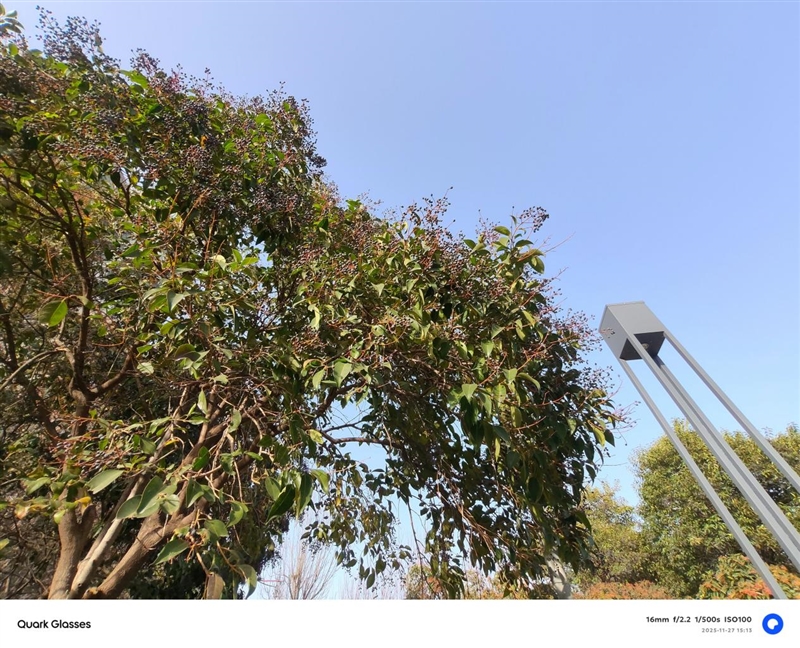 阿里首款自研夸克AI眼镜S1首发评测：真正的第一视角拍摄、导航、提词神器！