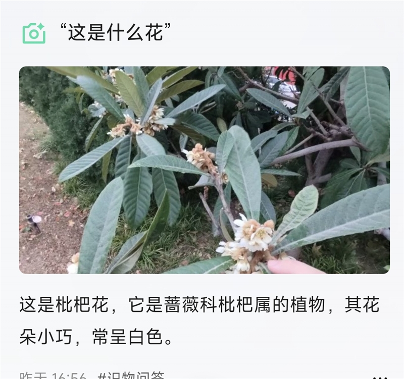 阿里首款自研夸克AI眼镜S1首发评测：真正的第一视角拍摄、导航、提词神器！