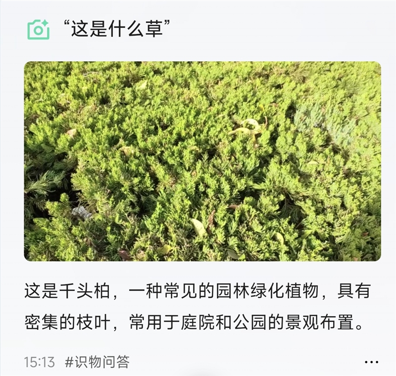 阿里首款自研夸克AI眼镜S1首发评测：真正的第一视角拍摄、导航、提词神器！