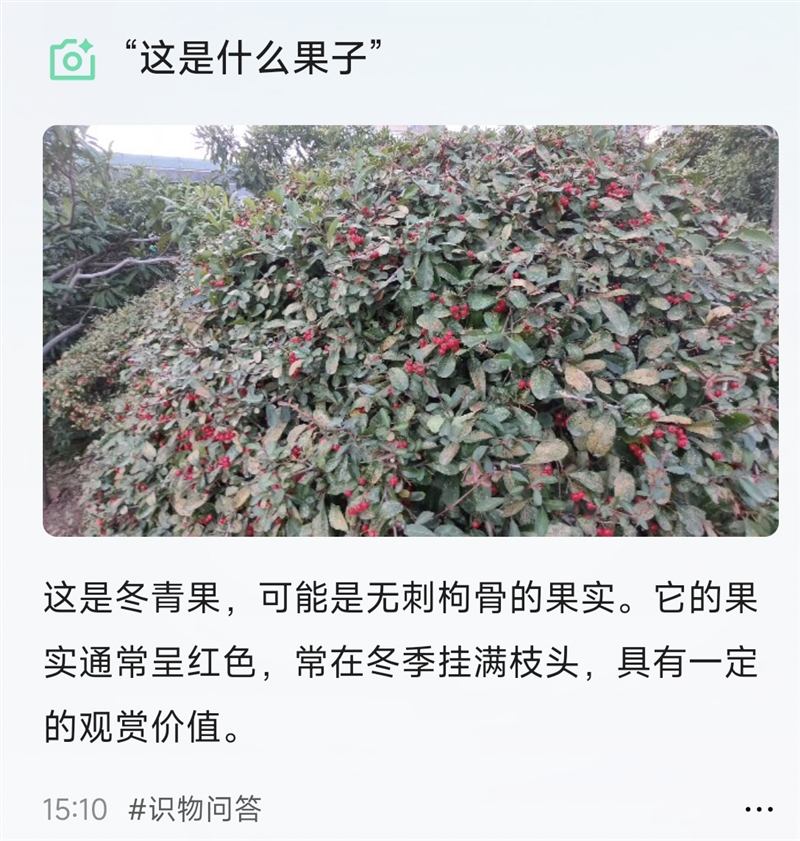 阿里首款自研夸克AI眼镜S1首发评测：真正的第一视角拍摄、导航、提词神器！